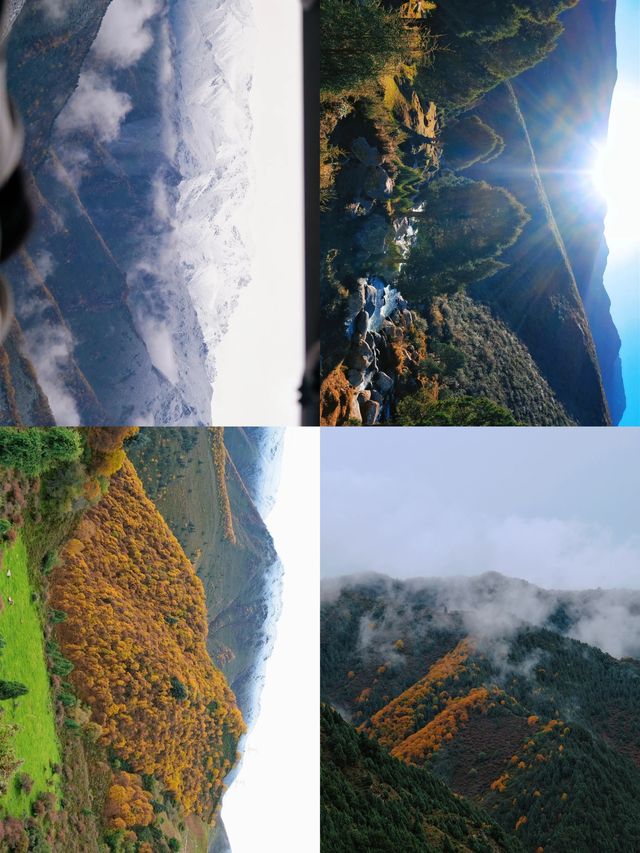 冰溝河秋色太絕了