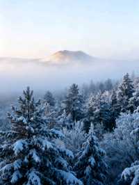 11月阿爾山:火山、森林與雪原交織的邊境童話之旅
