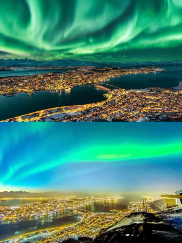 特羅姆瑟-塞尼亞島｜邂逅北極