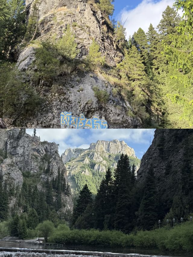 則岔石林,甘南的一顆璀璨明珠,等你來發現 則岔石林,甘南的一顆璀璨明珠,等你來發現