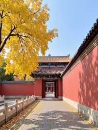 唔好再去擠九寨溝啦！我搵到一個藏喺甘肅天水嘅「隴上小九寨」！