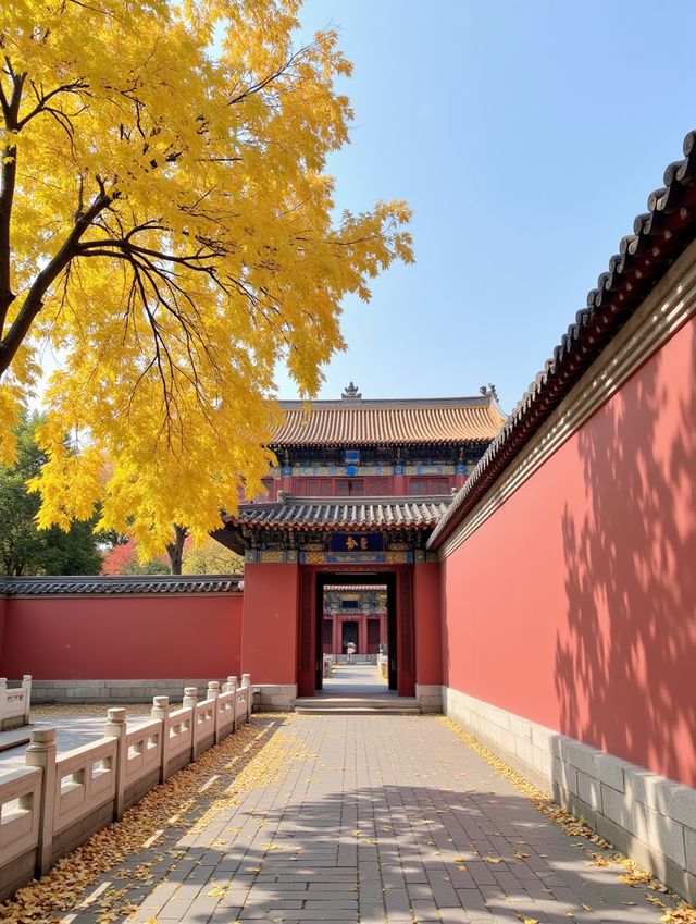 唔好再去擠九寨溝啦！我搵到一個藏喺甘肅天水嘅「隴上小九寨」！