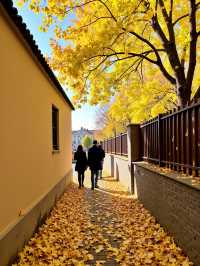 甘肅版九寨溝被我搵到喇！匿喺隴南嘅彩林秘境