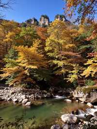 別再擠香山啦！私藏0元秘境，北京紅葉天花板！