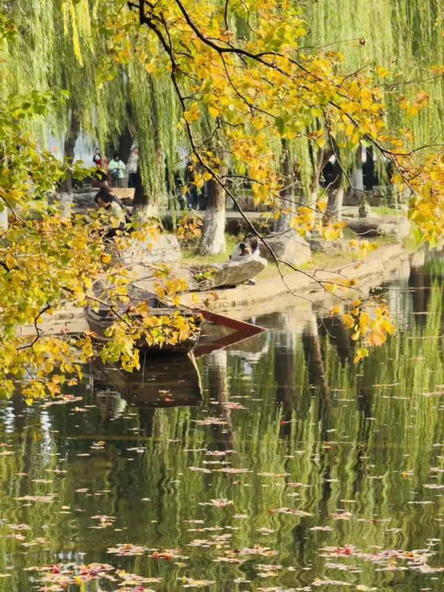 近期來南京的有福啦！