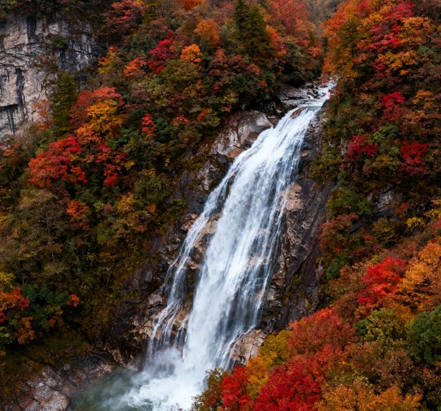 秋日限定！南江十八月潭，藏在秦巴的彩色仙境