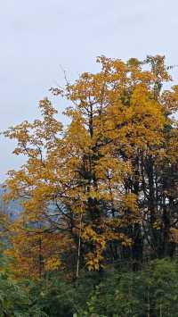 真的是被低估的瓦屋山