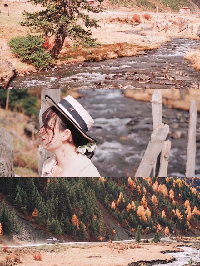 川西自駕｜沒有誰能在這個季節裡打敗新都橋