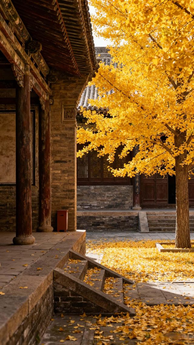 忻州古城秋日攻略:逛吃尋古,解鎖晉北慢生活暴擊 忻州古城秋日攻略:逛吃尋古,解鎖晉北慢生活暴擊