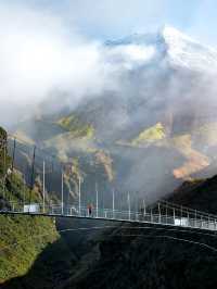 寒假/春節小團遊紐西蘭|南島觀鯨+賞峽灣