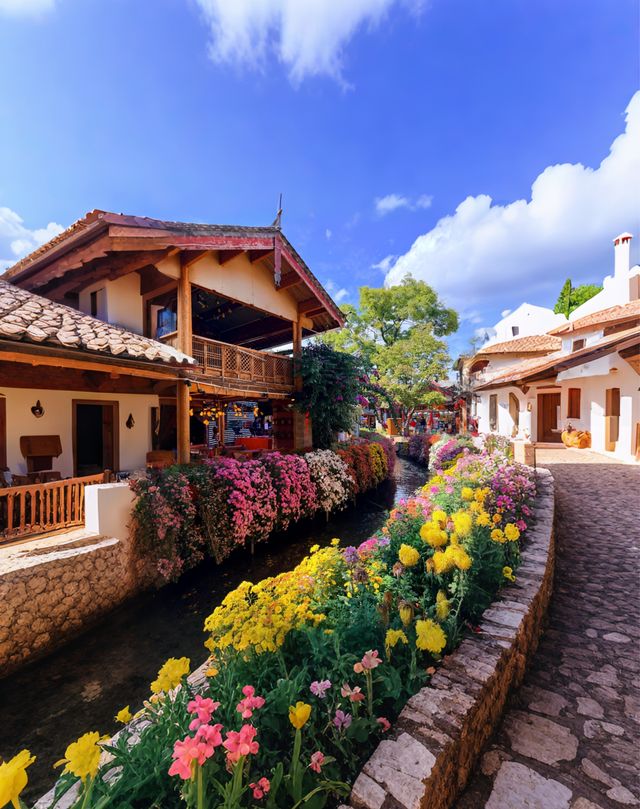 麗江古城·柔軟時光指南 | 邂逅高原水鄉