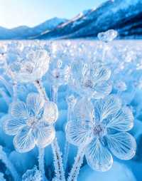 哈爾濱藍冰泡奇觀