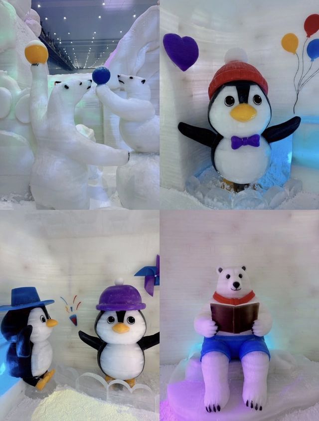 赴一場冬日的冰雪之約