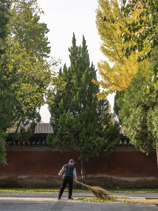 河南濟源|探秘古四瀆之神的祭祀聖地 河南濟源|探秘古四瀆之神的祭祀聖地