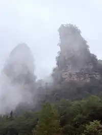 [11.05]跌宕起伏的張家界森林公園·攻略參考