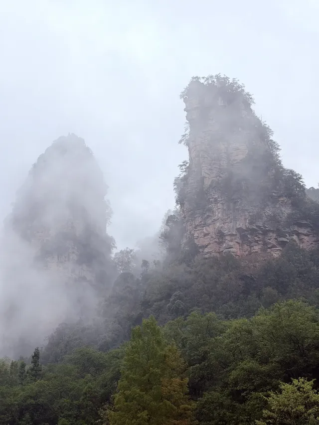 [11.05]跌宕起伏的張家界森林公園·攻略參考