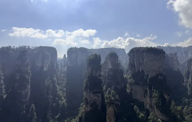 [11.05]跌宕起伏的張家界森林公園·攻略參考
