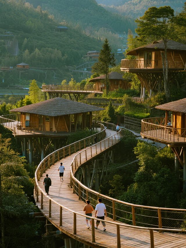 莫干山親子頂流！開元森泊帶娃玩到不想走