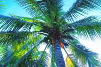 天涯海角，不只是兩塊石頭｜三亞必打卡的浪漫聖地