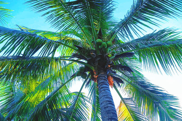 天涯海角，不只是兩塊石頭｜三亞必打卡的浪漫聖地