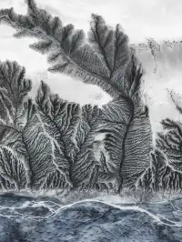 盤點那些我拍過像畫一樣的照片!