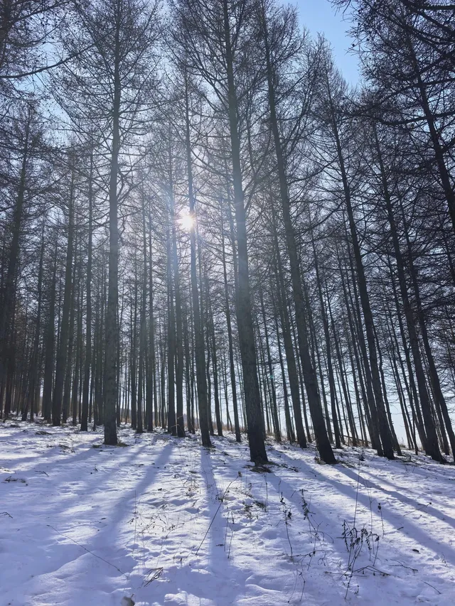 不想上班的小張今天去樺皮嶺 不想上班的小張今天去樺皮嶺