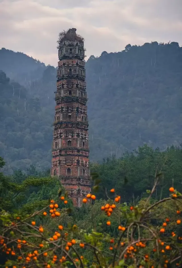 秋日國清寺:在千年古剎尋一份靜謐 秋日國清寺:在千年古剎尋一份靜謐