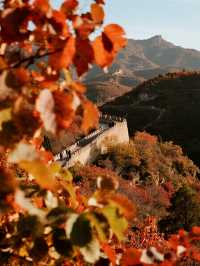 帶娃解鎖北京紅葉四大頂流親子賞秋保姆級攻略