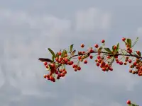 全程徒步挑戰三峽之巔(附超詳細攻略)