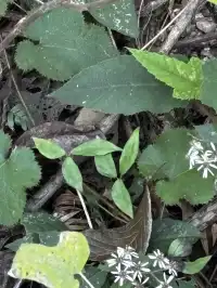 神仙谷隱藏玩法大公開！極限蹦極+深山尋寶