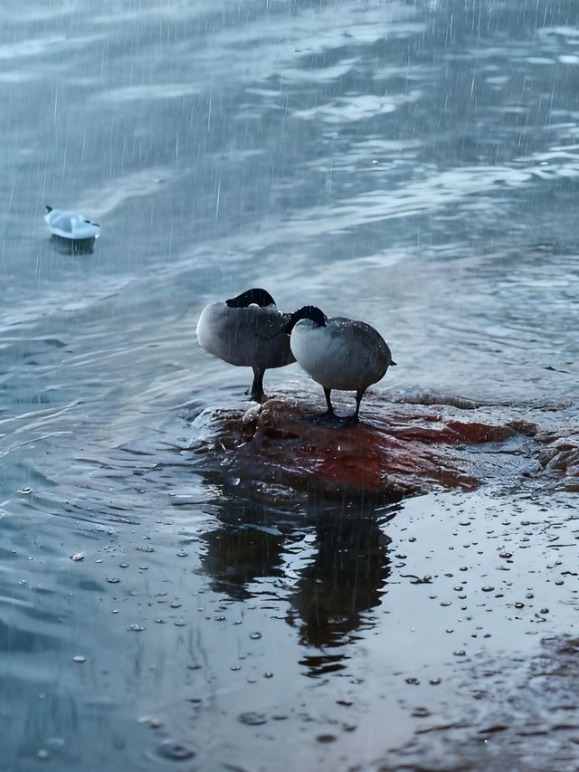 雨中邂逅最美廣場