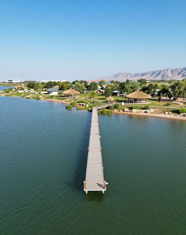 沙漠看海奇幻旅|一半沙漠一半湖的塞北秘境 沙漠看海奇幻旅|一半沙漠一半湖的塞北秘境