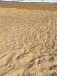 秋遊必選日照-臨沂5日遊不踩雷攻略來啦