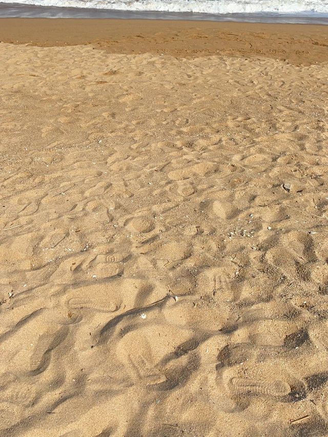 秋遊必選日照-臨沂5日遊不踩雷攻略來啦 秋遊必選日照-臨沂5日遊不踩雷攻略來啦