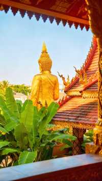 “在西雙版納追逐永不落幕的夏天和日落”