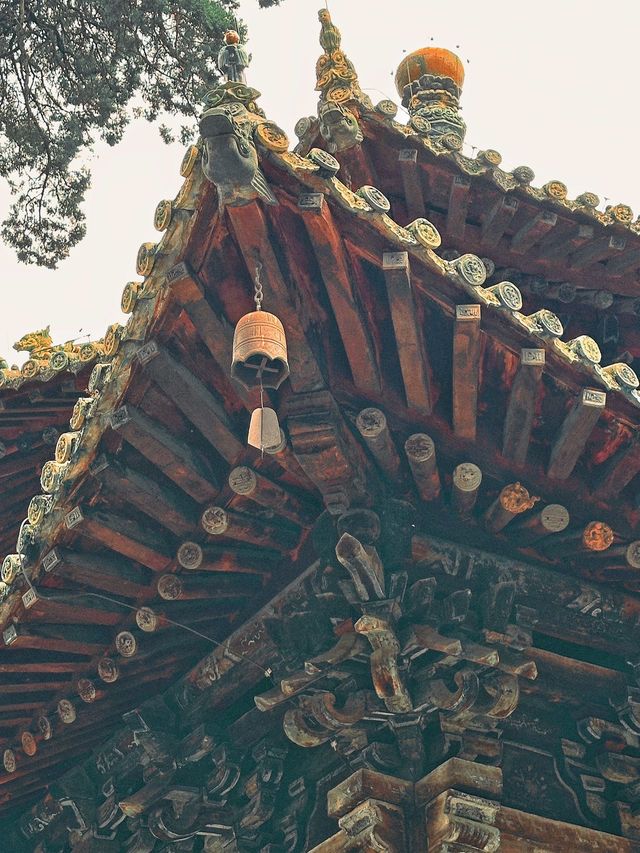 在綿陽被低估的寶藏深山古寺 在綿陽被低估的寶藏深山古寺