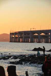 大連12月旅遊全攻略|雪裡裹浪的冬日童話