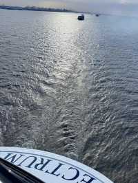 【海洋光譜號✨】8大隱藏版秘技大公開‼️