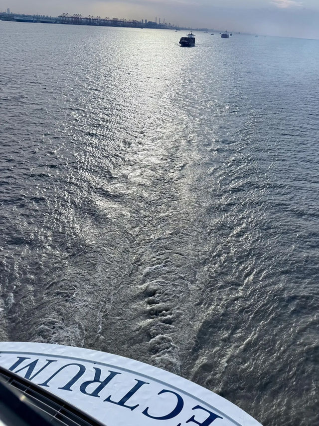 【海洋光譜號✨】8大隱藏版秘技大公開‼️