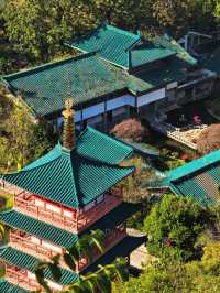 秋天的虞山公園真的太美了！