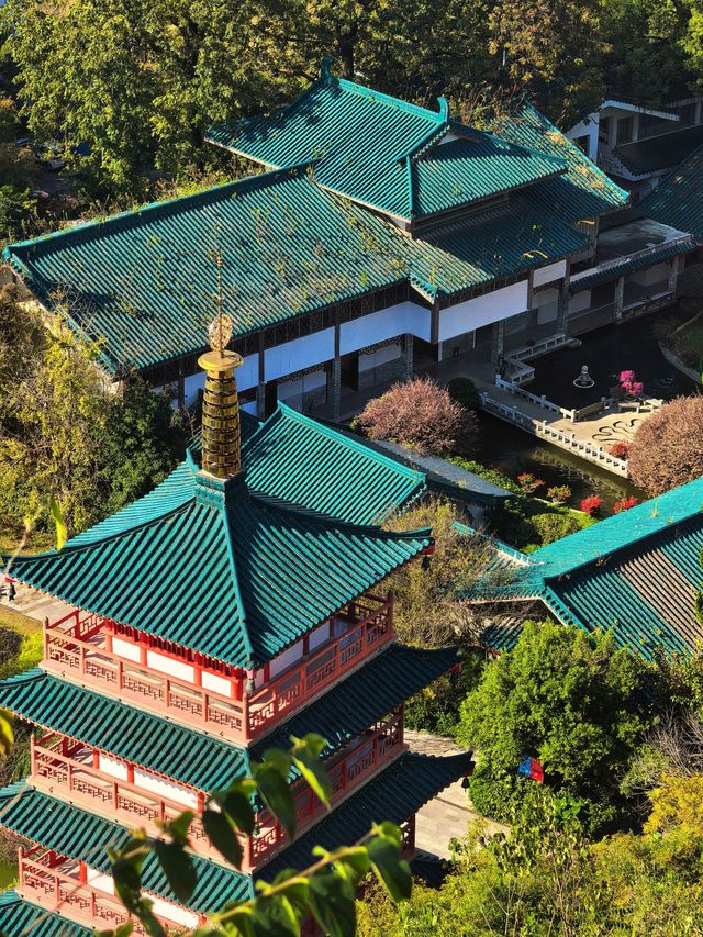 秋天的虞山公園真的太美了！