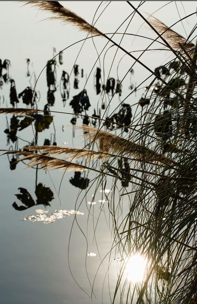 西昌,冬日的一抹秋 西昌,冬日的一抹秋