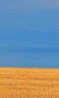 賽里木湖秋日環湖終極攻略 | 闖入一場盛大的金色夢境