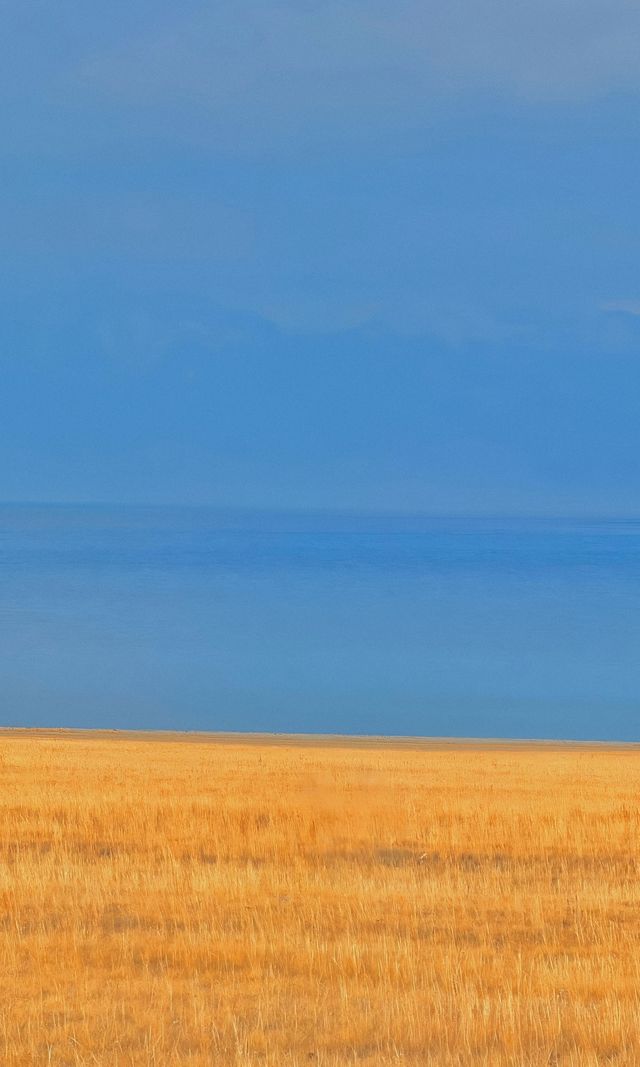 賽里木湖秋日環湖終極攻略 | 闖入一場盛大的金色夢境 賽里木湖秋日環湖終極攻略 | 闖入一場盛大的金色夢境