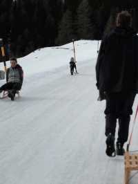 Sledging at Julierpass – Pure Winter Magic 🛷
