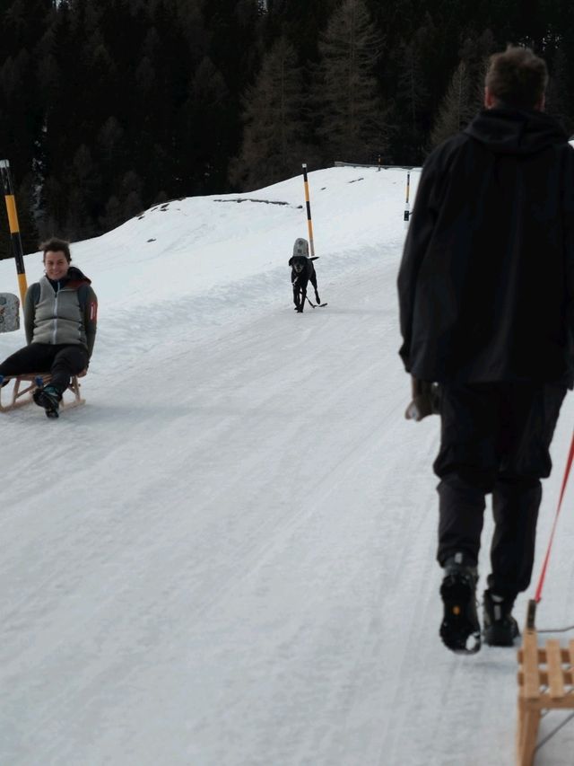 Sledging at Julierpass – Pure Winter Magic 🛷 Sledging at Julierpass – Pure Winter Magic 🛷