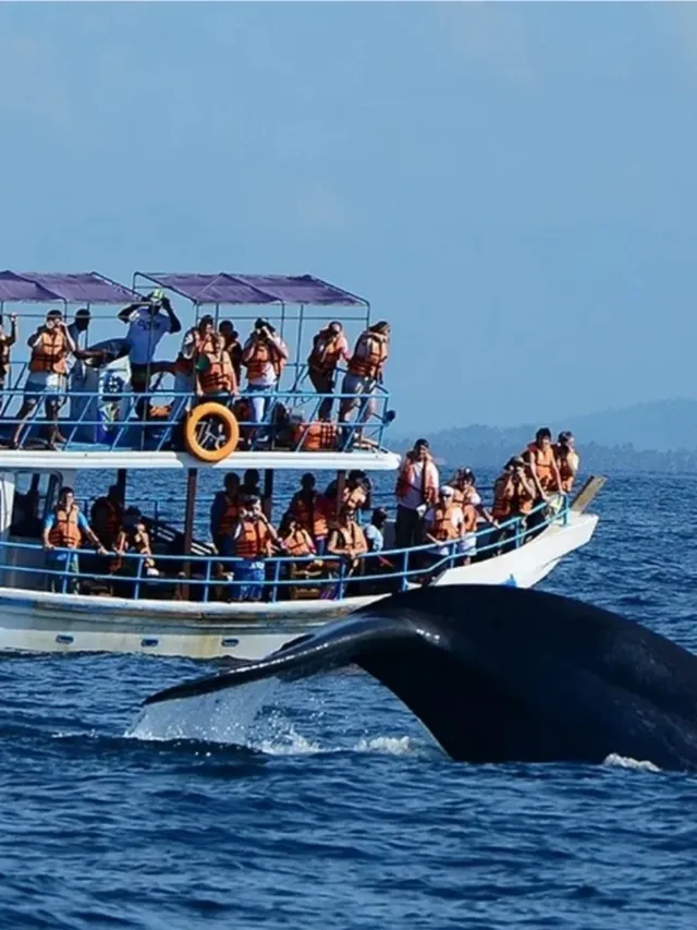 斯里蘭卡9日遊,一路山海與古城 斯里蘭卡9日遊,一路山海與古城