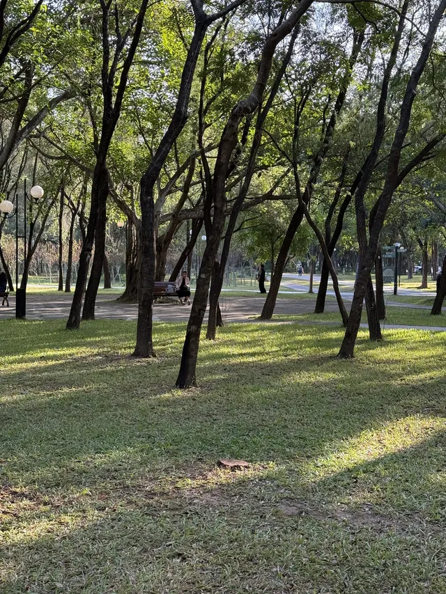 深圳的秋天 請來蓮花山公園大口吸氧吧