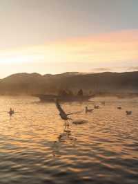 瀘沽湖冬日限定！闖入晨霧裡的遺失仙境