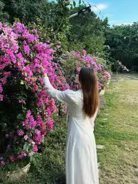 潮州吸氧|橄欖小莊愜意好時光